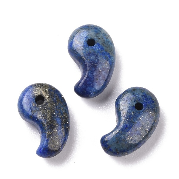 

PandaHall Natural Lapis Lazuli Pendants, Magatama Charms, 20x13x7mm, Hole: 2mm Lapis Lazuli Others