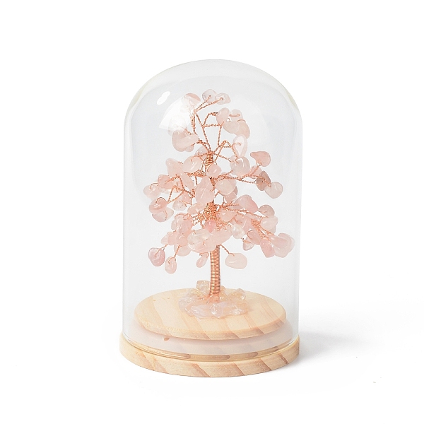 

PandaHall Natural Rose Quartz Chips Money Tree in Dome Glass Bell Jars with Wood Base Display Decorations, for Home Office Decor Good Luck...