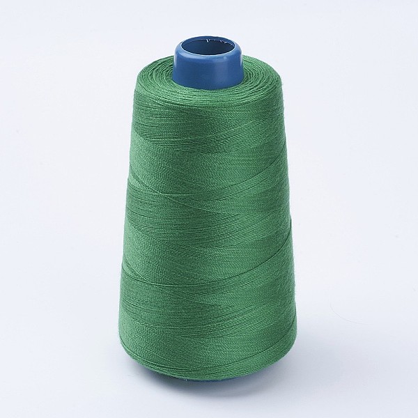 

PandaHall Polyester Thread, Medium Sea Green, 0.28mm, about 1749.78 yards(1600m)/roll Polyester Green