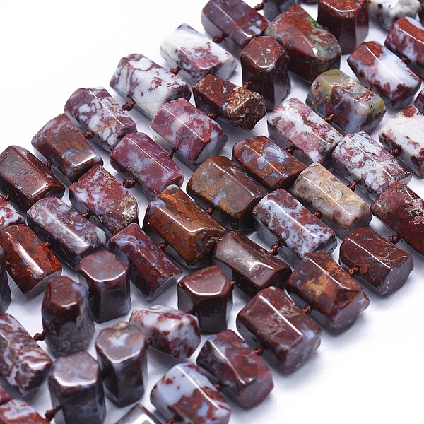 

PandaHall Natural Red Lightning Agate Beads Strands, Hexagonal Prism, 11~14x7~11mm, Hole: 0.5mm, about 41pcs/strand, 16.5 inch~16.9 inch...