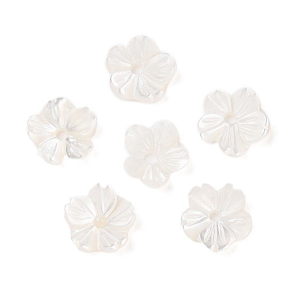 Natural White Shell… - image