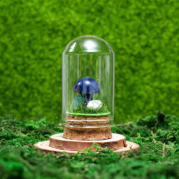 

PandaHall Glass Dome Cover with Natural Sodalite Mushroom Inside, Cloche Bell Jar Terrarium with Cork Base, Micro Landscape Garden...