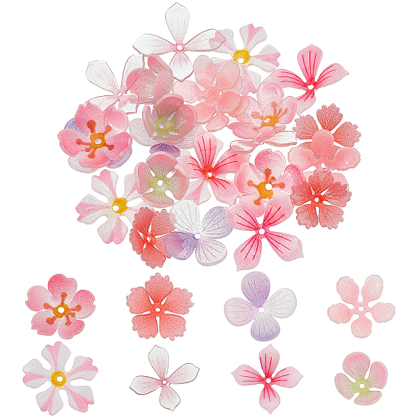 

PandaHall SUPERFINDINGS 32Pcs 8 Style Plastic Beads, Flower, Mixed Color, 12~22x13.5~22x3~8mm, Hole: 1~1.4mm, 4pcs/style Plastic Flower..., Multicolor