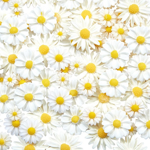 

PandaHall 100Pcs 5 Style Opaque Resin Cabochons, Daisy, White, 14~26x5~7mm Resin Flower White