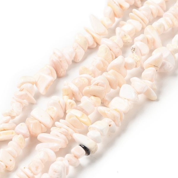 

PandaHall Natural Pink Shell Beads Strands, Nuggets Chips, Misty Rose, 5~13.5x4~7.5x1.5~6mm, Hole: 1mm, about 258pcs/strand, 30.71 inch...