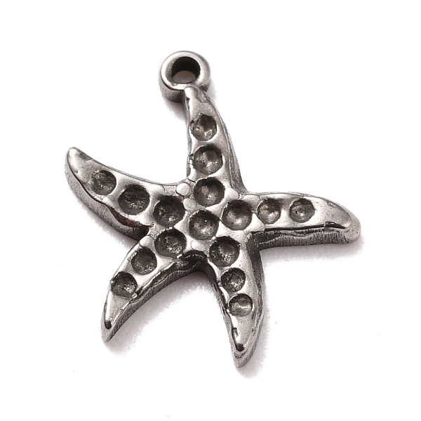 

PandaHall 304 Stainless Steel Charms Rhinestone Settings, Starfish, Stainless Steel Color, 12.5x12x1.5mm, Hole: 0.9mm 304 Stainless Steel...