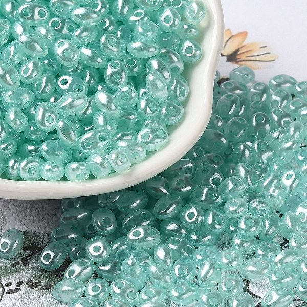 

PandaHall Opaque ABS Beads, Double Hole, Oval, Turquoise, 6x4.5x3.3mm, Hole: 1.2mm, about 14516pcs/500g ABS Plastic Oval Green