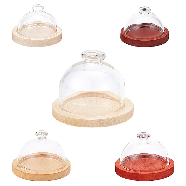 PandaHall DELORIGIN 5 Pcs Top Knob Glass Dome Cover, Glass Dome with Wooden Base, Decorative Display Case for DIY Preserved Gift, Home...
