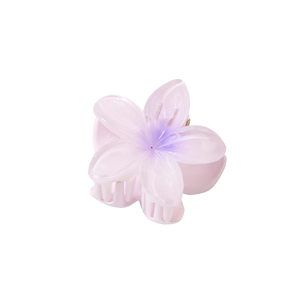 Plastic Claw Hair C… - image