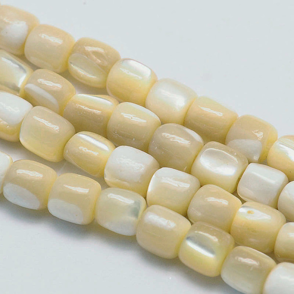 

PandaHall Natural Sea Shell Column Bead Strands, 7x6mm, Hole: 1mm, about 63pcs/strand, 15.7 inch Other Sea Shell Column