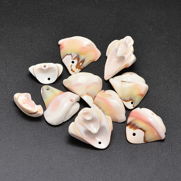 

PandaHall Natural Shell Nuggets Beads, PeachPuff, 10~23x8~23mm, Hole: 1mm, about 130pcs/500g Other Sea Shell Nuggets Brown