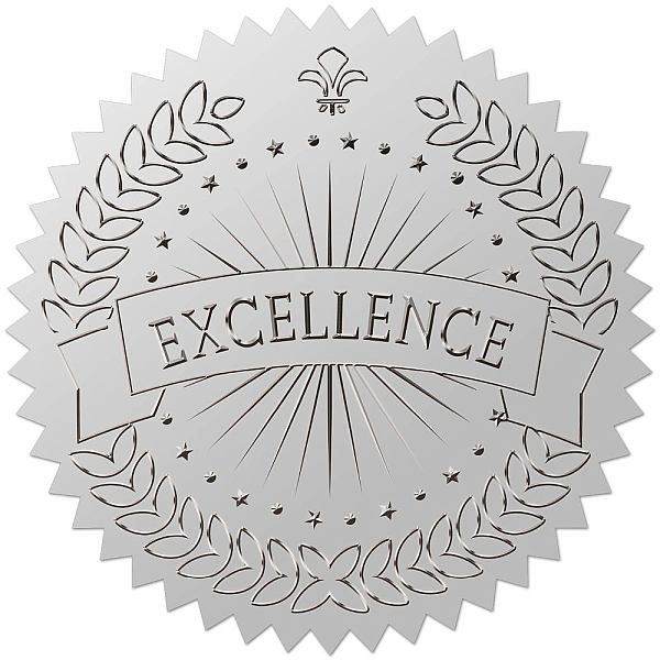 

PandaHall 34 Sheets Custom Silver Foil Embossed PET Picture Sticker, Award Certificate Seals, Metallic Stamp Seal Stickers, Word, 211x165mm...
