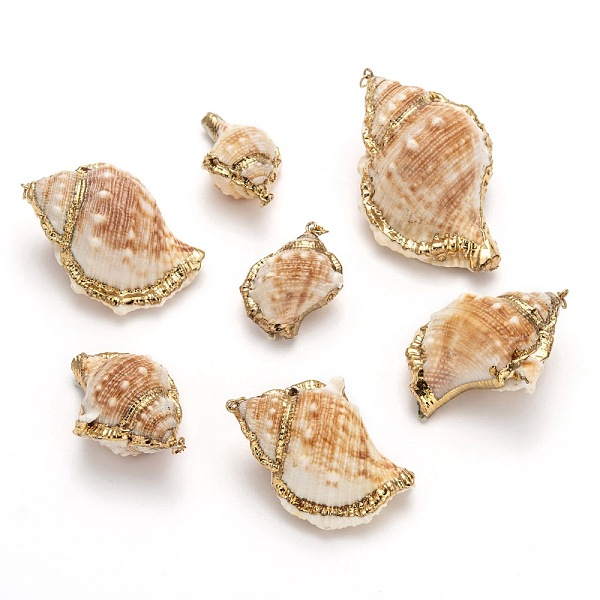 

PandaHall Natural Spiral Shell Pendants, Mixed Shapes, 23~86x14~42x12~30mm, Hole: 3~4mm Spiral Shell Shell Shape