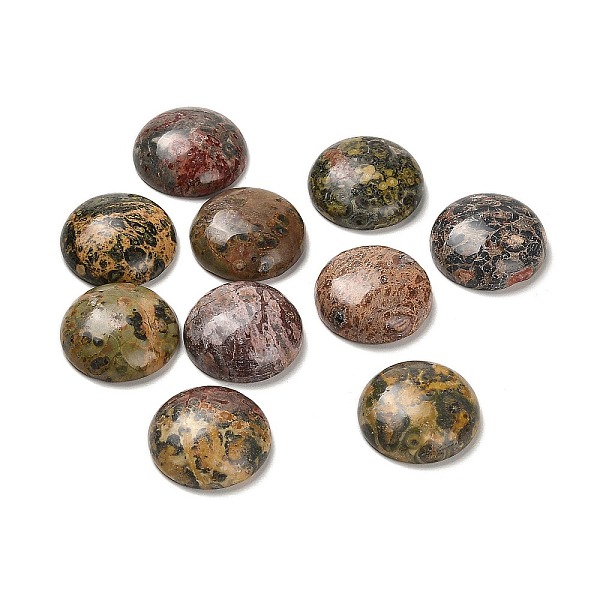 

PandaHall Natural Leopard Skin Jasper Cabochons, Half Round/Dome, 20x6.5mm Leopard Skin Jasper Half Round