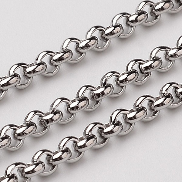 

PandaHall 304 Stainless Steel Rolo Chains, Belcher Chain, Unwelded, Stainless Steel Color, 2.5mm 304 Stainless Steel