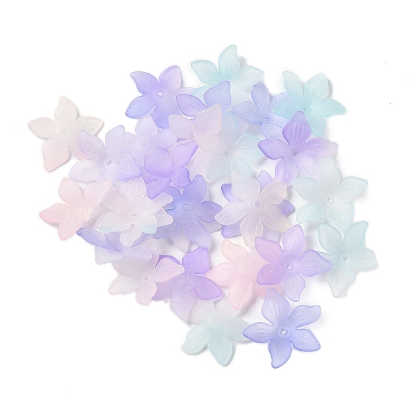

PandaHall Transparent Acrylic Beads Caps, 5-Petal Flower, Colorful, 24x25.5x5.5mm, Hole: 1.5mm, 550pcs/500g Acrylic