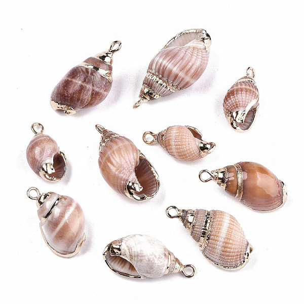 

PandaHall Electroplate Spiral Shell Pendants, with Iron Findings, Golden, Seashell Color, 18~30x9~14x8~12mm, Hole: 1.4mm Spiral Shell Shell...