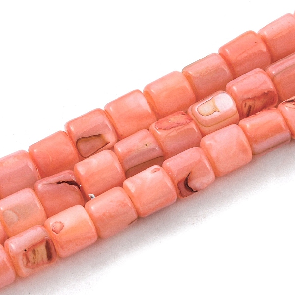 

PandaHall Natural Freshwater Shell Beads Strands, Dyed, Column, Salmon, 4~5.5x5mm, Hole: 0.6mm, about 74~75pcs/strand, 14.76~14.96 inch..., Red