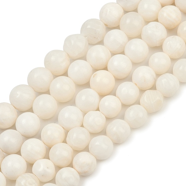 Natural White Shell… - image