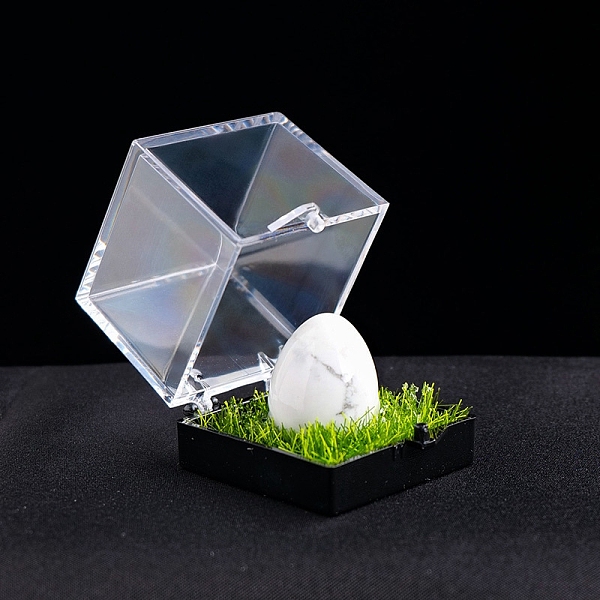 

PandaHall Natural Howlite Healing Egg Mineral Specimen Box, Reiki Raw Stone for Energy Balancing Meditation Therapy, 20x17mm Howlite Egg