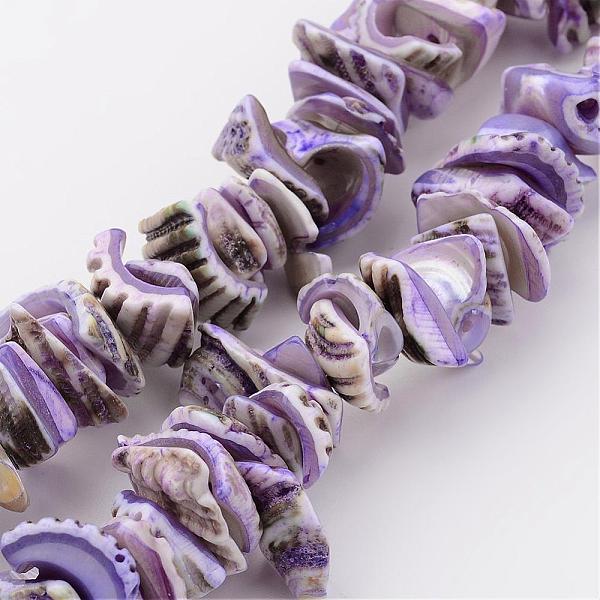 

PandaHall Natural Shell Bead Strands, Dyed, Nuggets, Medium Orchid, 10~20x8~12x3~6mm, Hole: 1mm, about 15.7 inch Other Sea Shell Nuggets..., Purple