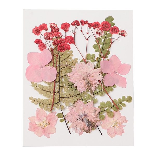 

PandaHall Pressed Dried Flowers, for Cellphone, Photo Frame, Scrapbooking DIY and Resin Art Floral Decors, Pink, 135x105x0.3mm Dried Flower...