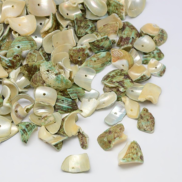 PandaHall Dyed Natural Spiral Shell Chips Beads, Shell Shards, Pale Goldenrod, 10~20x6~15mm, Hole: 1mm, about 700pcs/500g Spiral Shell Chip...