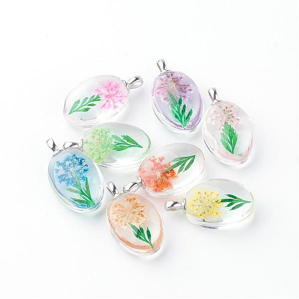 

PandaHall Glass Pendants, with Dried Flower Inside, Oval, Platinum, Mixed Color, 31x18x10~11mm, Hole: 5x2mm Glass Oval Multicolor