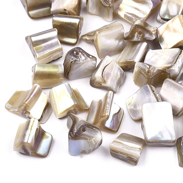 

PandaHall Freshwater Shell Beads, Chip, Light Khaki, 5~10x8~12x9~10mm, Hole: 0.8~1mm Freshwater Shell Nuggets