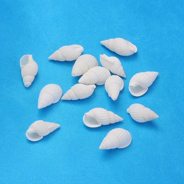

PandaHall Natural Trumpet Shell Beads, Mixed, White, 17~31x10~15x8~11mm, Hole: 1mm, about 850pcs/500g Spiral Shell Others White