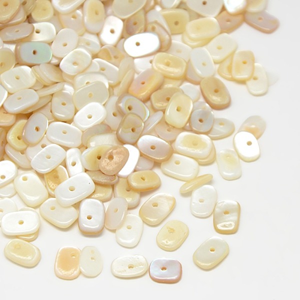 

PandaHall Dyed Natural Freshwater Shell Chips Beads, Antique White, 7~10x5~7x1~4mm, Hole: 1mm, about 2600pcs/500g Freshwater Shell Chip..., Orange