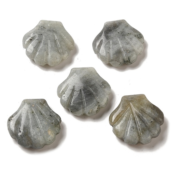 

PandaHall Natural Labradorite Carved Healing Shell Figurines, Reiki Energy Stone Display Decorations, 30~30.5x30x8~8.5mm Labradorite Shell...