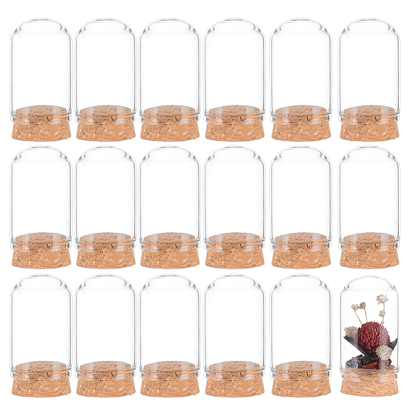 

PandaHall BENECREAT 30Pcs Glass Dome Cloche Cover, Bell Jar, with Cork Base, For Doll House Container, Dried Flower Display Decoration..., Clear