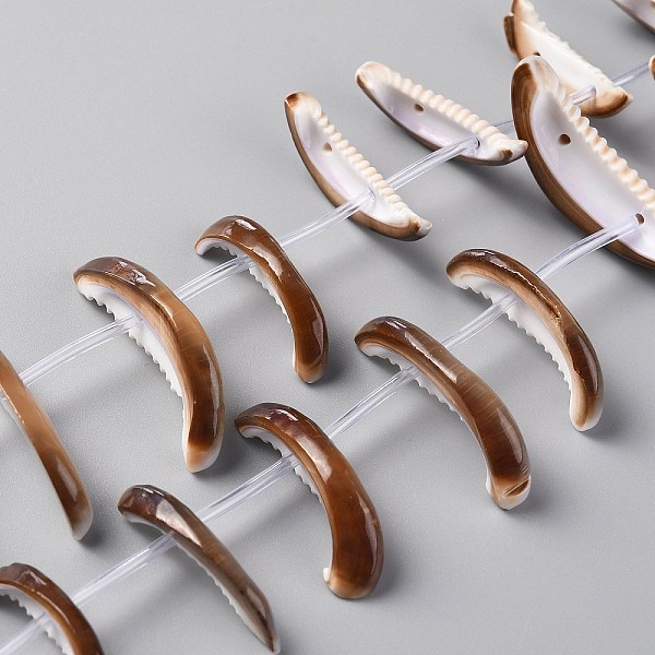 

PandaHall Natural Freshwater Shell Beads Strands, Tooth Shape, Seashell Color, 21~34x6.5~12x3~6mm, Hole: 1~1.2mm, about 24pcs/strand, 16.14...