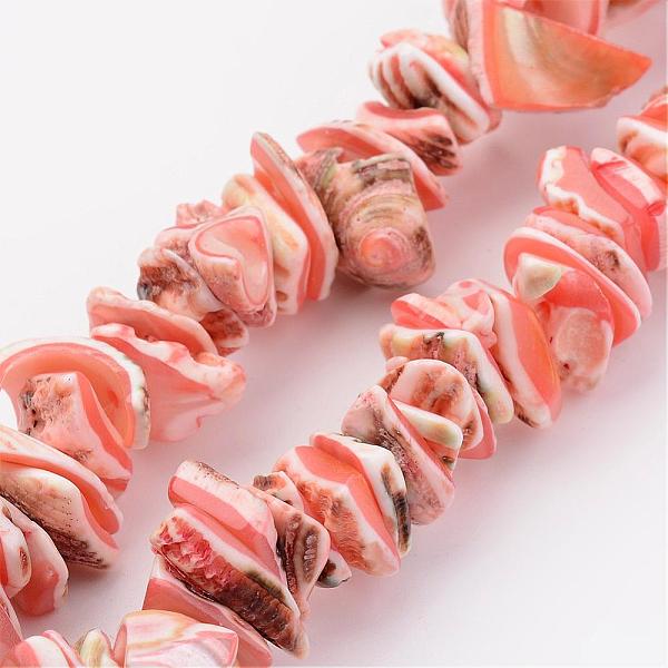 

PandaHall Natural Shell Bead Strands, Dyed, Nuggets, Light Salmon, 10~20x8~12x3~6mm, Hole: 1mm, about 15.7 inch Other Sea Shell Nuggets Red