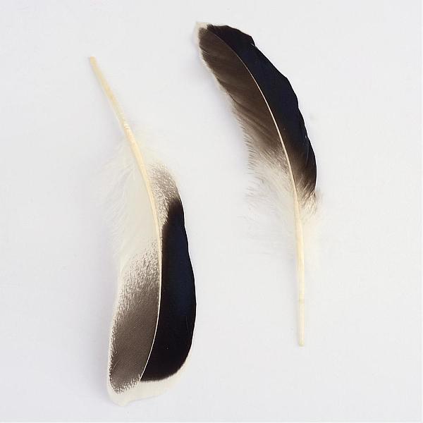 

PandaHall Goose Feather Costume Accessories, Dyed, White, 104~140x20~31mm Feather Feather White