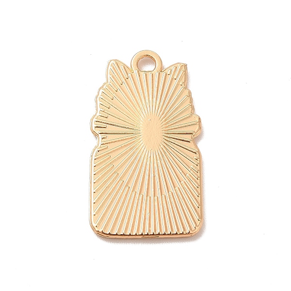 

PandaHall Alloy Enamel Pendants, Light Gold, Bottle with Cat Charm, Colorful, 24x14x1.5mm, Hole: 2mm Alloy+Enamel Cat Shape