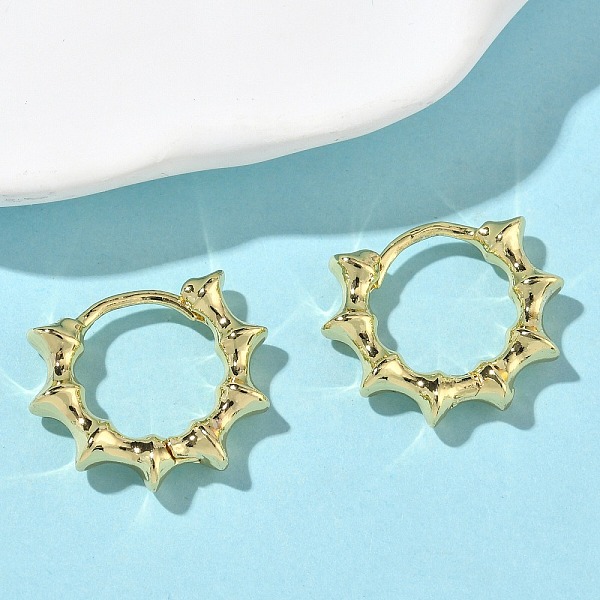 Brass Hoop Earrings - image