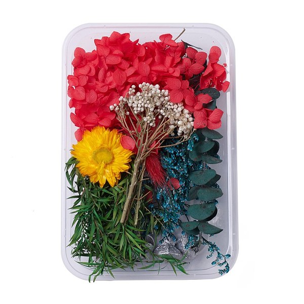 

PandaHall Dried Flowers, DIY Candle Soap Making Accessories, with Plastic Rectangle Box, Mixed Color, 1.9~15.5x1.9~6cm Dried Flower..., Multicolor