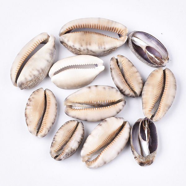 

PandaHall Cowrie Shell Beads, Undrilled/No Hole Beads, Seashell Color, 35~55x20~30x10~16mm, about 55pcs/500g Cowrie Shell Shell Shape