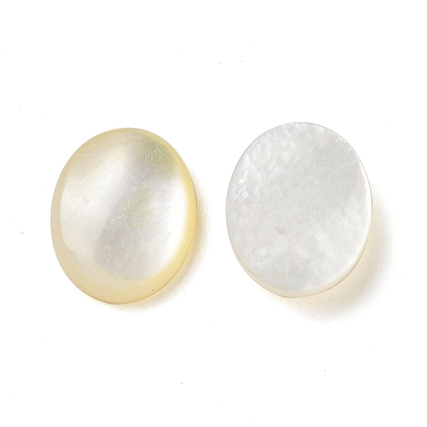 

PandaHall Natural Yellow Shell Cabochons, Oval, Pale Goldenrod, 10x8x2mm Yellow Shell Oval