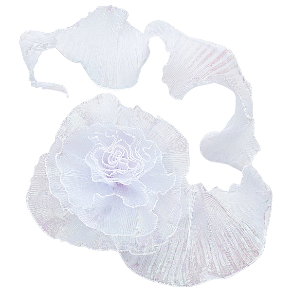 

PandaHall WADORN 5.47 Yards/5m Iridescent Ruffle Pleated Lace Trim, 5-5/8 in Retro Organza Chiffon Lace Trim Fabric for Dress Ruffle Lace...