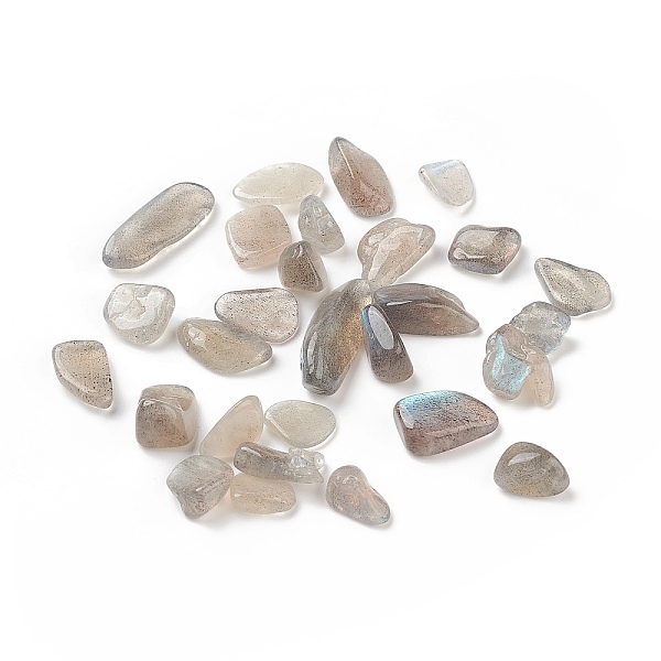 

PandaHall Natural Labradorite Beads, No Hole, 9x7mm Labradorite Chip