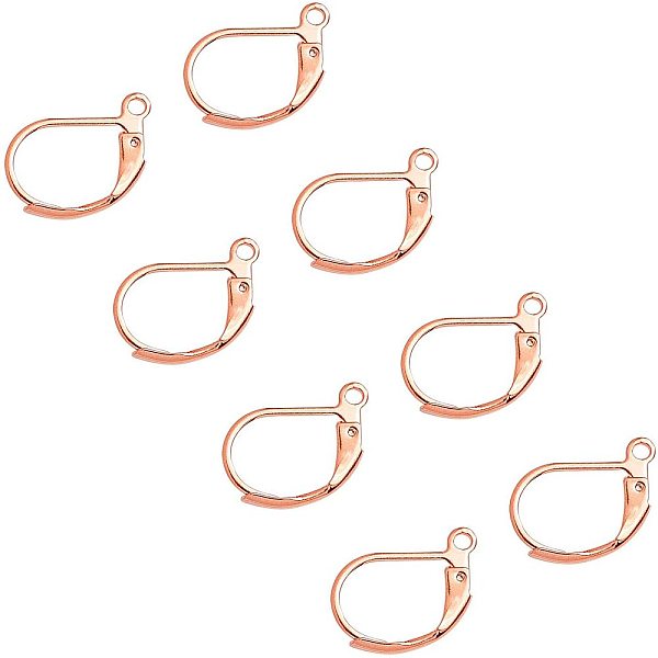 

PandaHall UNICRAFTALE 50pcs Rose Gold Leverback Earring 304 Stainless Steel Leverback Earring Findings with 1.4mm Loop Lever Back Hoop...