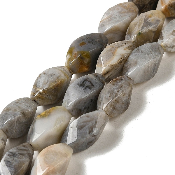 

PandaHall Natural Bamboo Leaf Agate Beads Strands, Twist, 9x16.5~17x9~9.5mm, Hole: 1mm, about 23~24pcs/strand, 15.47~15.55''(39.3~39.5cm)...