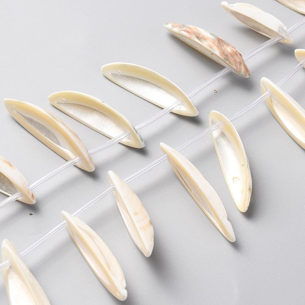 

PandaHall Natural Freshwater Shell Beads Strands, Ship, White, 23~43.5x5~13x3.5~7mm, Hole: 1.2mm, about 24pcs/strand, 15.75 inch(40cm)...