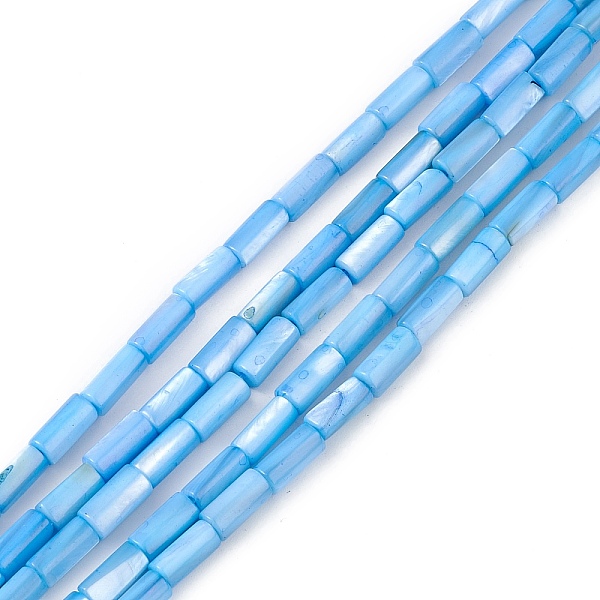 

PandaHall Natural Freshwater Shell Dyed Beads Strands, Column, Cornflower Blue, 8x4mm, Hole: 0.8mm, about 46pcs/strand, 14.96''(38cm)...