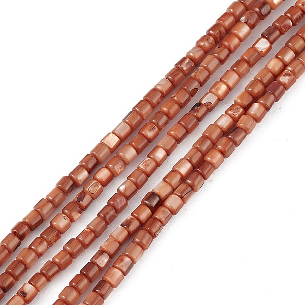 

PandaHall Natural Freshwater Shell Dyed Beads Strands, Cube, Sienna, 3~3.5x3~3.5mm, Hole: 0.8mm, about 108pcs/strand, 14.96''(38cm)..., Brown