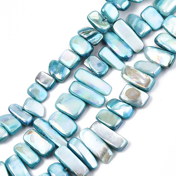 

PandaHall Natural Freshwater Shell Beads Strands, AB Color, Dyed, Nugget Stick, Sky Blue, 8~25x6~10x2~6mm, Hole: 0.5mm, about...