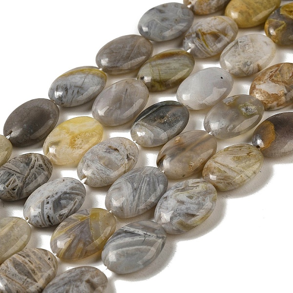 

PandaHall Natural Bamboo Leaf Agate Beads Strands, Flat Oval, 16x12~12.5x4.5~5mm, Hole: 1mm, about 25pcs/strand, 15.35~15.47''(39~39.3cm)...